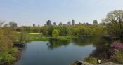 Central Park - Jezírko Turtle Pond